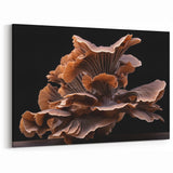 Mushroom Wall Art | Fungi Wall Decor | Botanical Mushroom Canvas Art