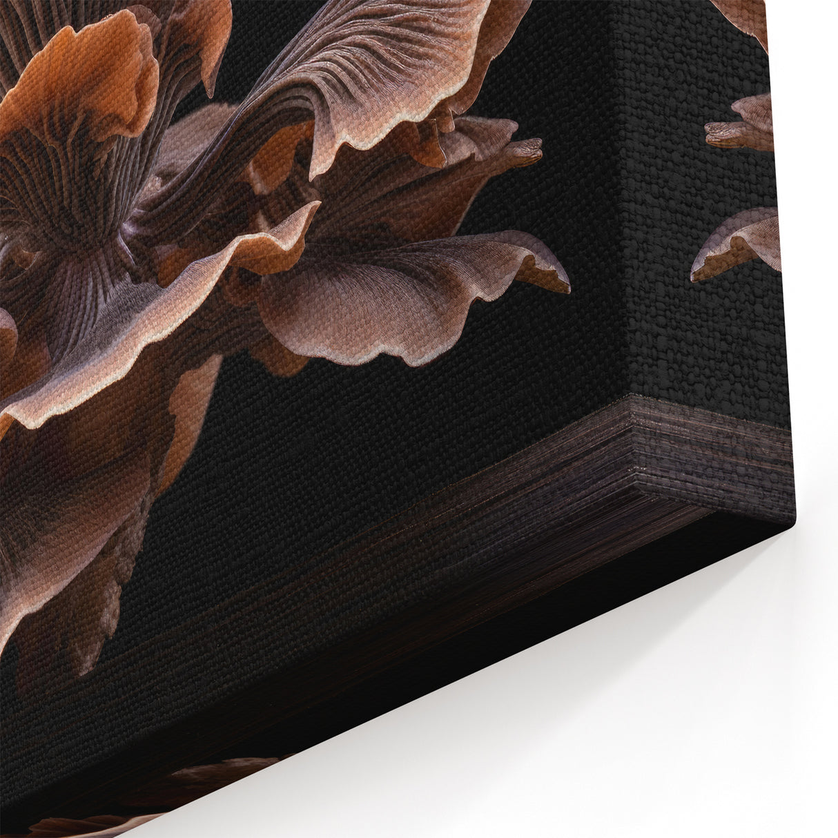 Mushroom Wall Art | Fungi Wall Decor | Botanical Mushroom Canvas Art