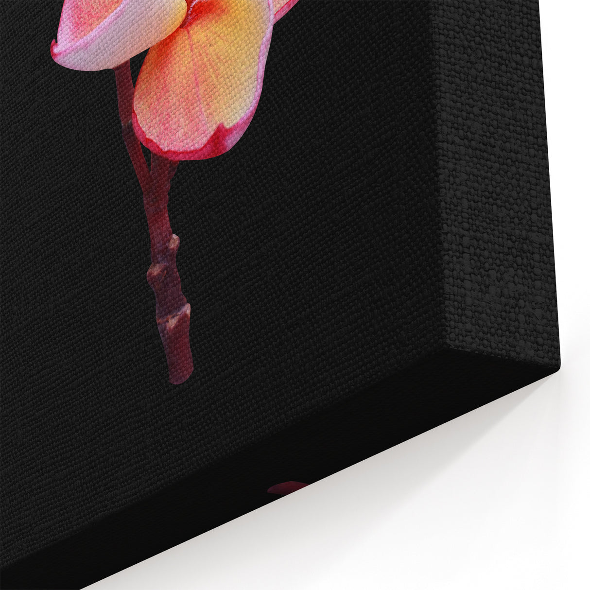Vibrant Dogwood Blossom Art – Pink and Yellow Floral Canvas Print