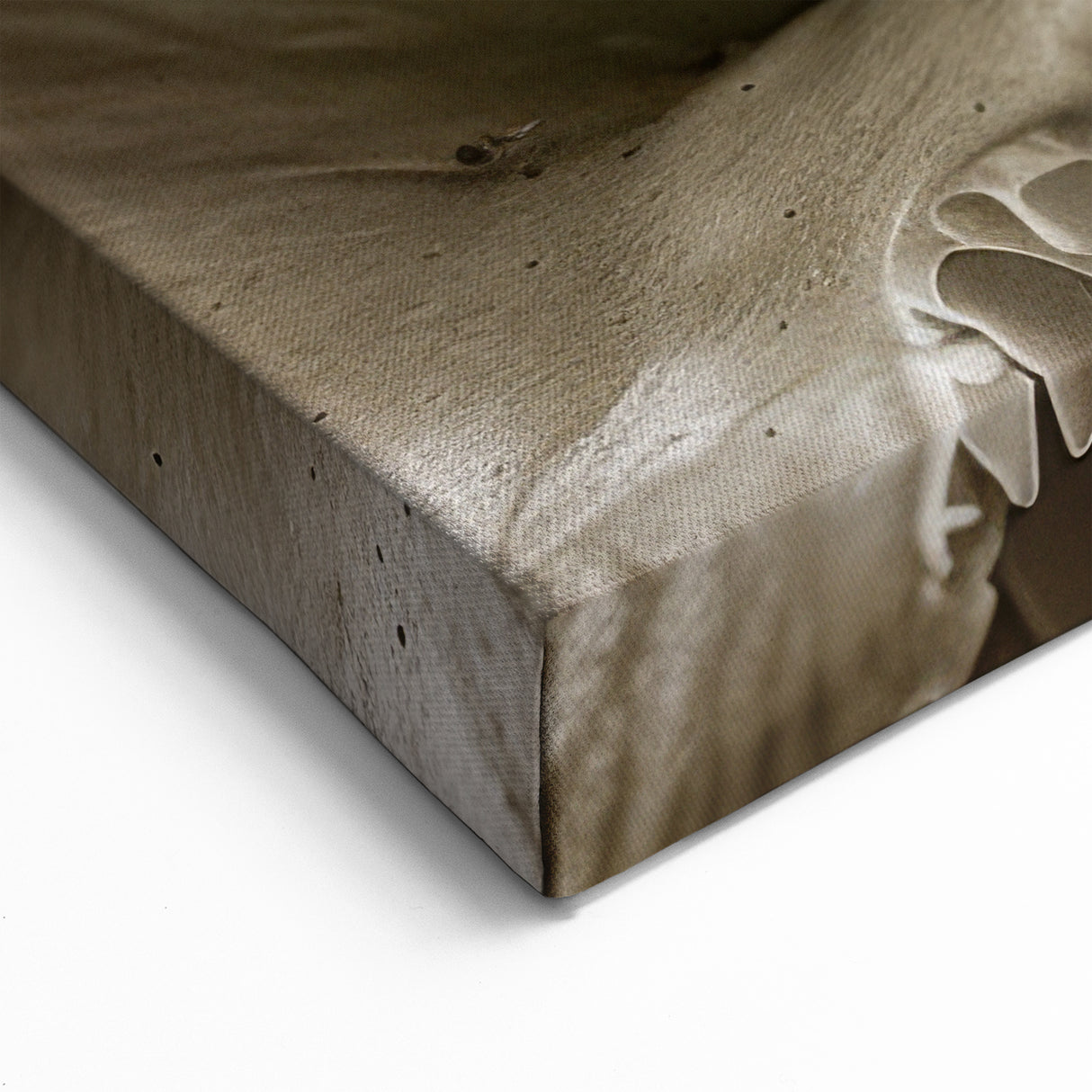 Mushroom Canvas Art | Botanical Fungi Wall Decor | Nature-Inspired Mushroom Print