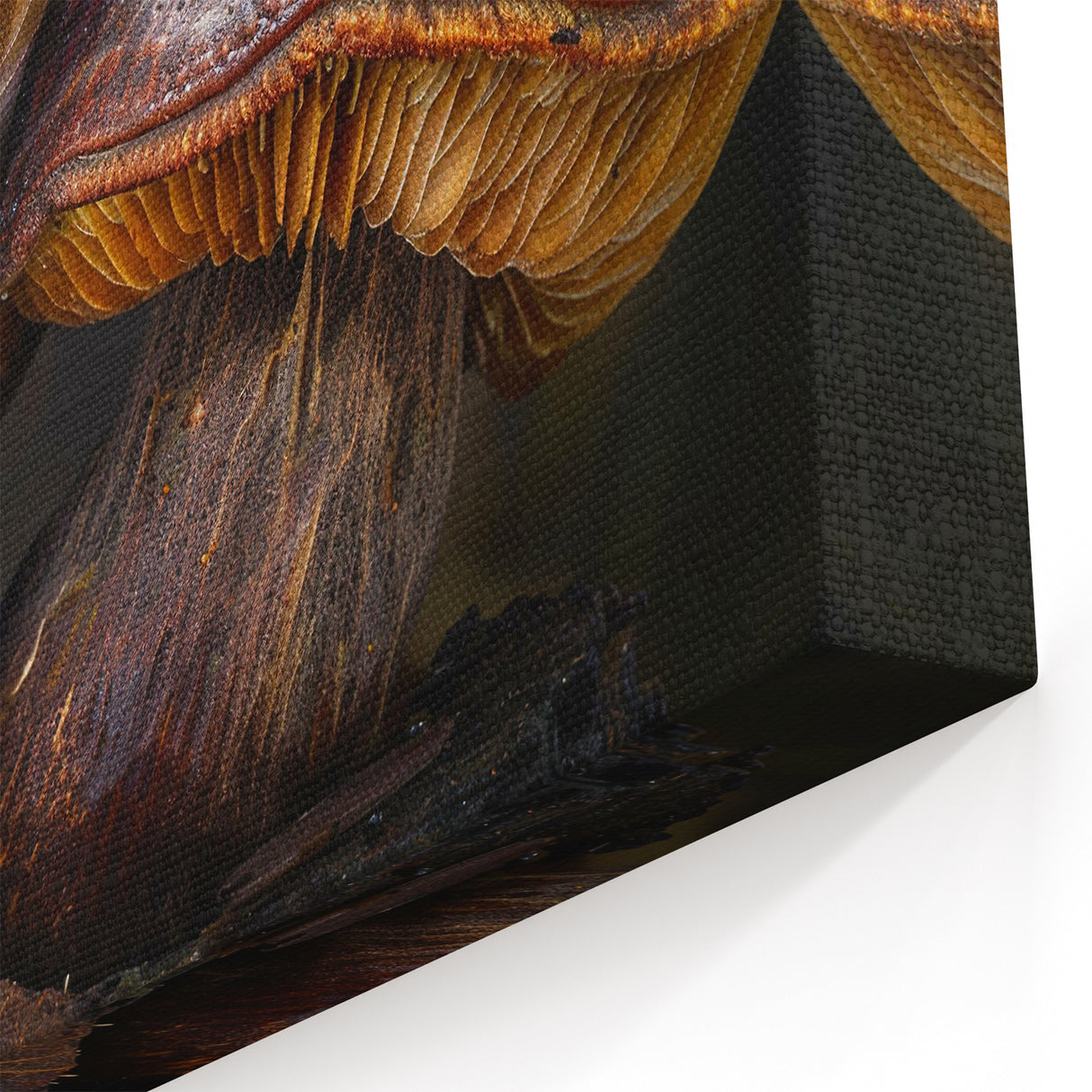 Mushroom Wall Art | Woodland Mushroom Prints | Fungi Canvas Decor