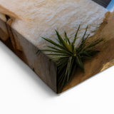 Traditional Tunisian Cave House - Tunisia Wall Art North African Prints