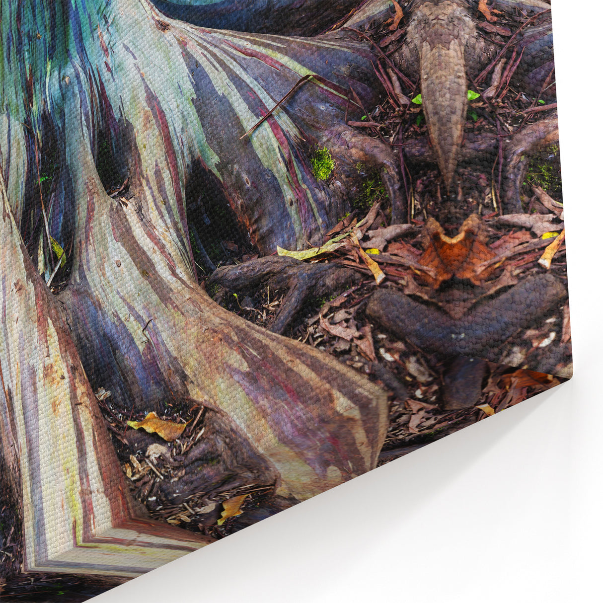 Modern Botanical Eucalyptus Wall Art – Nature-Inspired Eucalyptus Prints