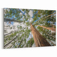 Botanical Eucalyptus Canvas Art – Modern Nature-Inspired Eucalyptus Prints
