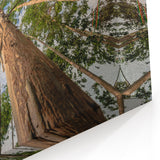 Botanical Eucalyptus Canvas Art – Modern Nature-Inspired Eucalyptus Prints