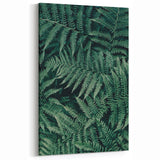 Green Botanical Fern Wall Art - Nature-Inspired Fern Canvas Prints