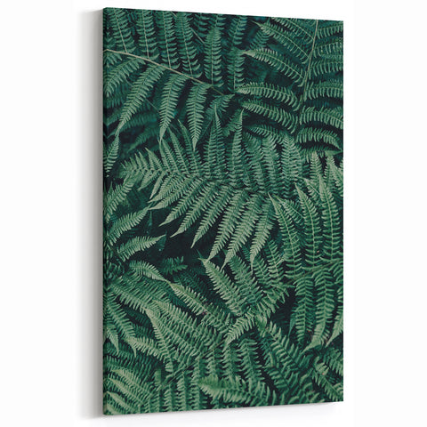 Green Botanical Fern Wall Art - Nature-Inspired Fern Canvas Prints