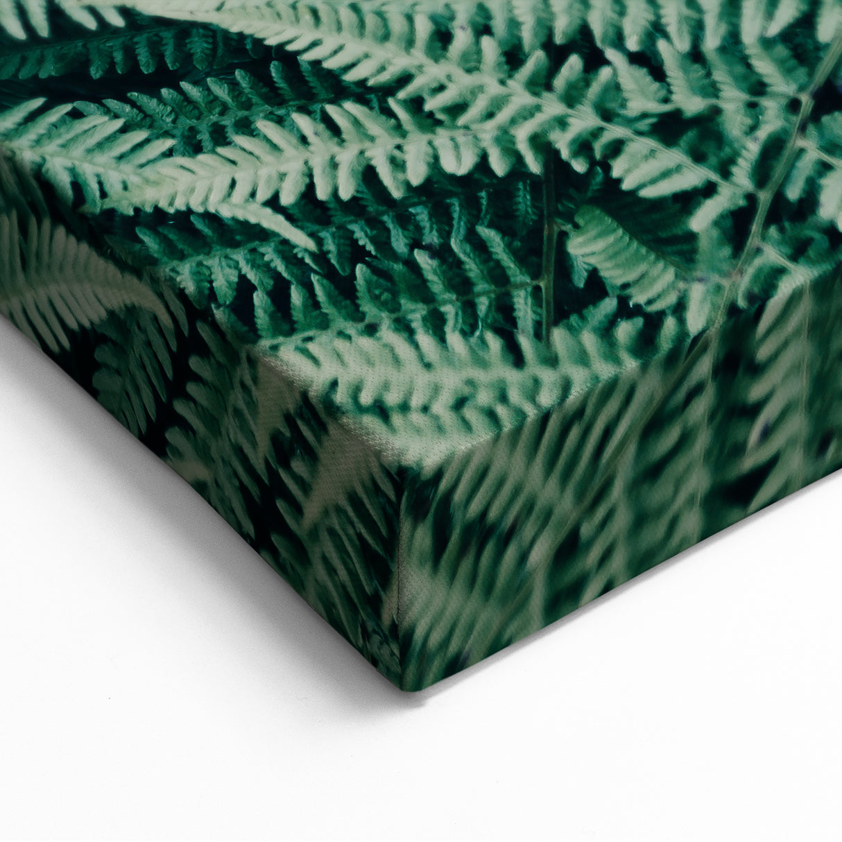 Green Botanical Fern Wall Art - Nature-Inspired Fern Canvas Prints