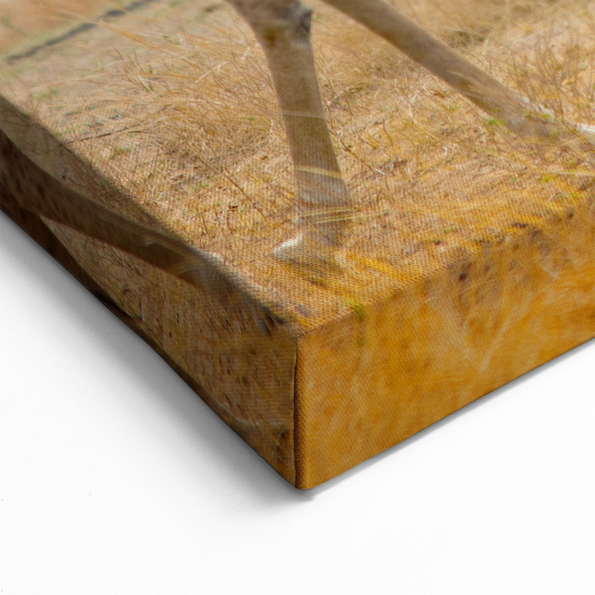 Zambia Landscape Art - Elegant Giraffes in African Wilderness Canvas Print