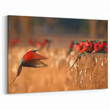 Zambia Art Prints - Colorful Bee-Eaters in Flight African Wildlife Art