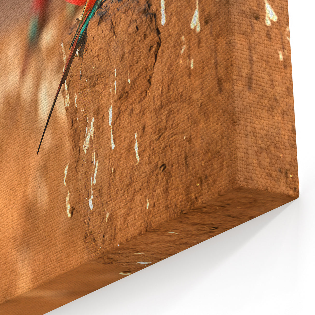 Zambia Art Prints - Colorful Bee-Eaters in Flight African Wildlife Art