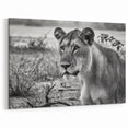 Zambia Wildlife Art - Majestic Lioness in Black and White Canvas Print