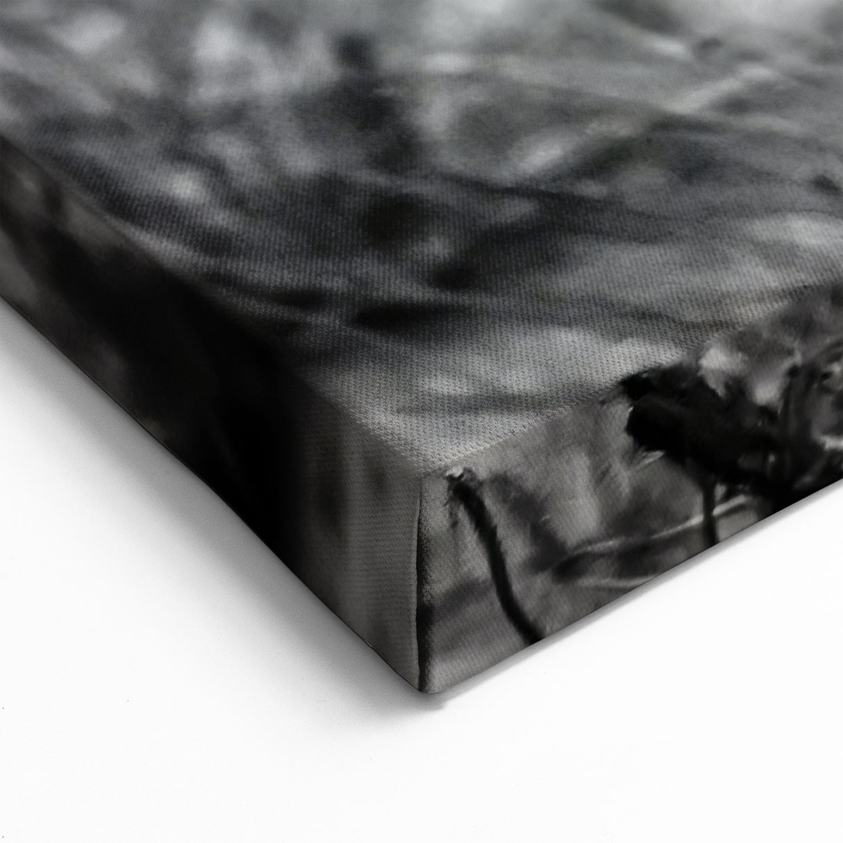 Zambia Wildlife Art - Majestic Lioness in Black and White Canvas Print