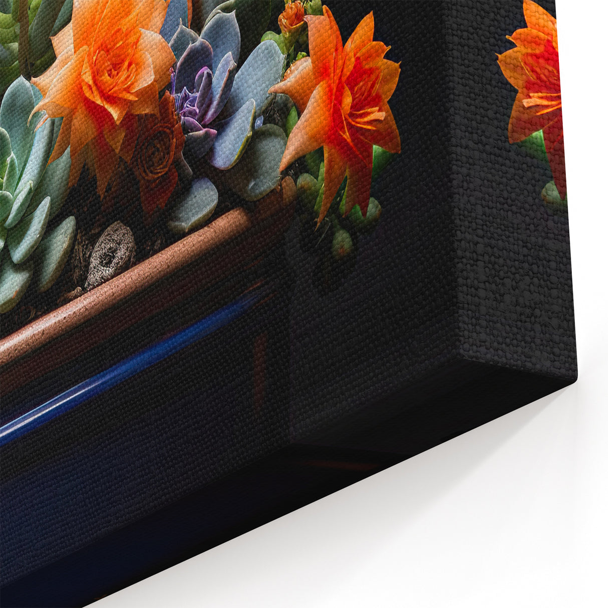 Vibrant Cactus Flower Paintings - Southwestern Desert Cactus Wall Art