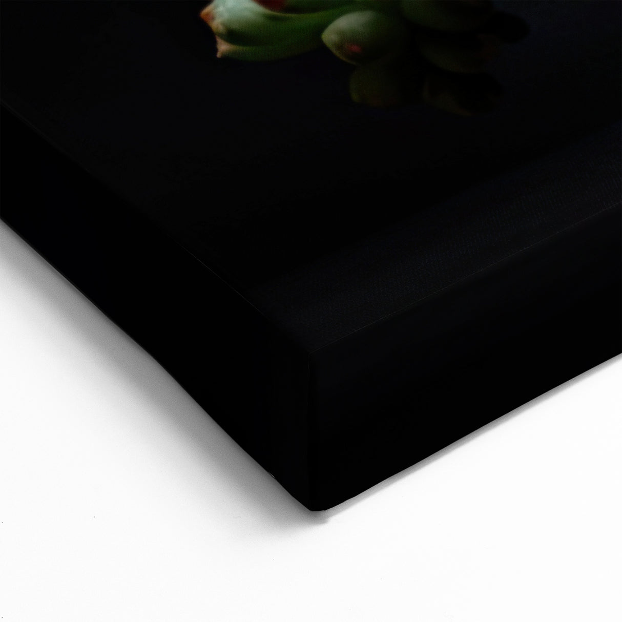 Vibrant Cactus Flower Paintings - Southwestern Desert Cactus Wall Art