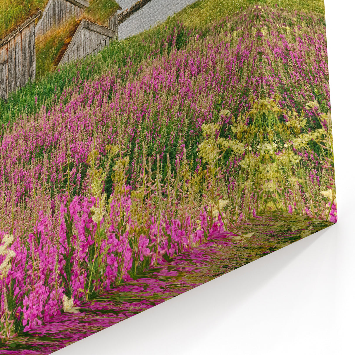 Fireweed Canvas Art - Majestic Fireweed Field and Mountain Landscape Print