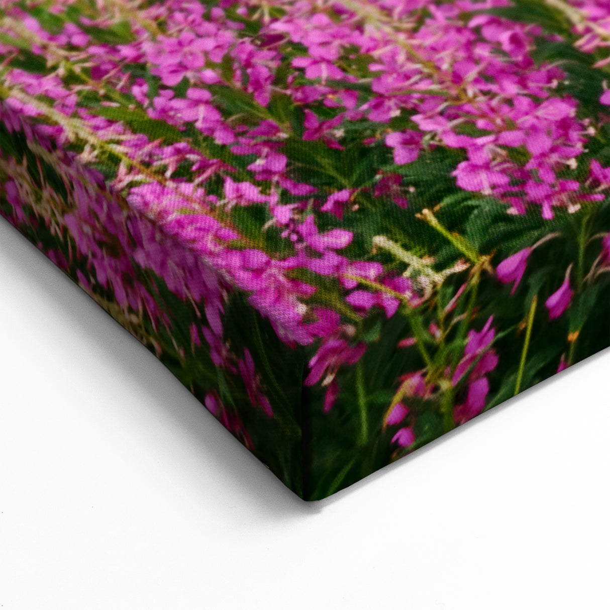 Fireweed Canvas Art - Majestic Fireweed Field and Mountain Landscape Print