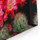 Bright Pink Cactus Flower Art - Southwestern Desert Succulent Wall Decor