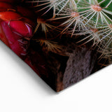 Bright Pink Cactus Flower Art - Southwestern Desert Succulent Wall Decor