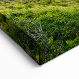 Tropical Indonesia Artwork - Stunning Coastal Beach Wall Art