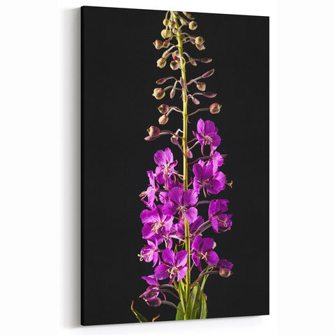 Fireweed Landscape Art - Scenic Fireweed Field with Coastal Mountain View