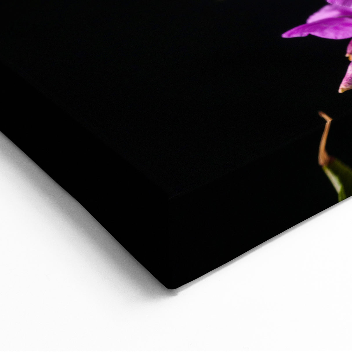 Fireweed Landscape Art - Scenic Fireweed Field with Coastal Mountain View