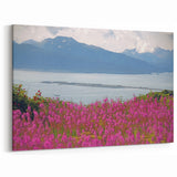 Fireweed Field Art - Scenic Mountain Valley Fireweed Landscape Canvas Print
