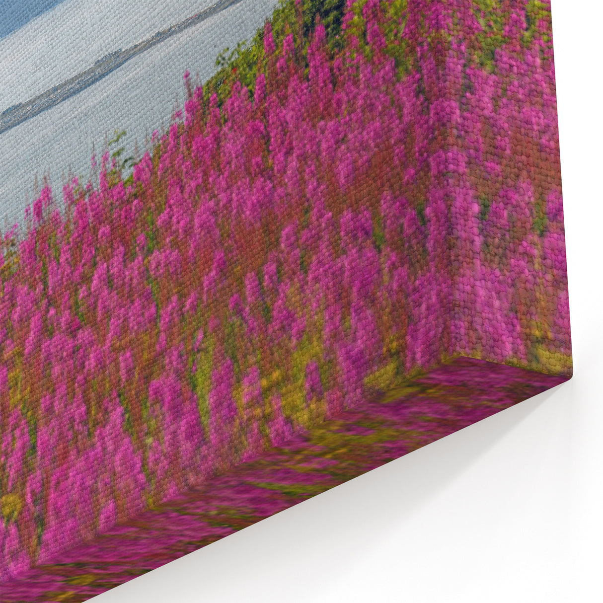 Fireweed Field Art - Scenic Mountain Valley Fireweed Landscape Canvas Print