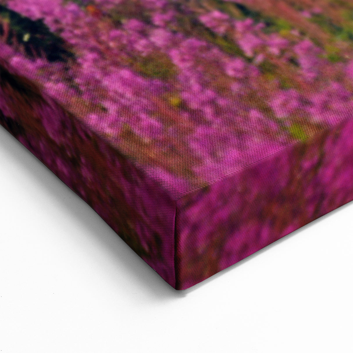 Fireweed Field Art - Scenic Mountain Valley Fireweed Landscape Canvas Print