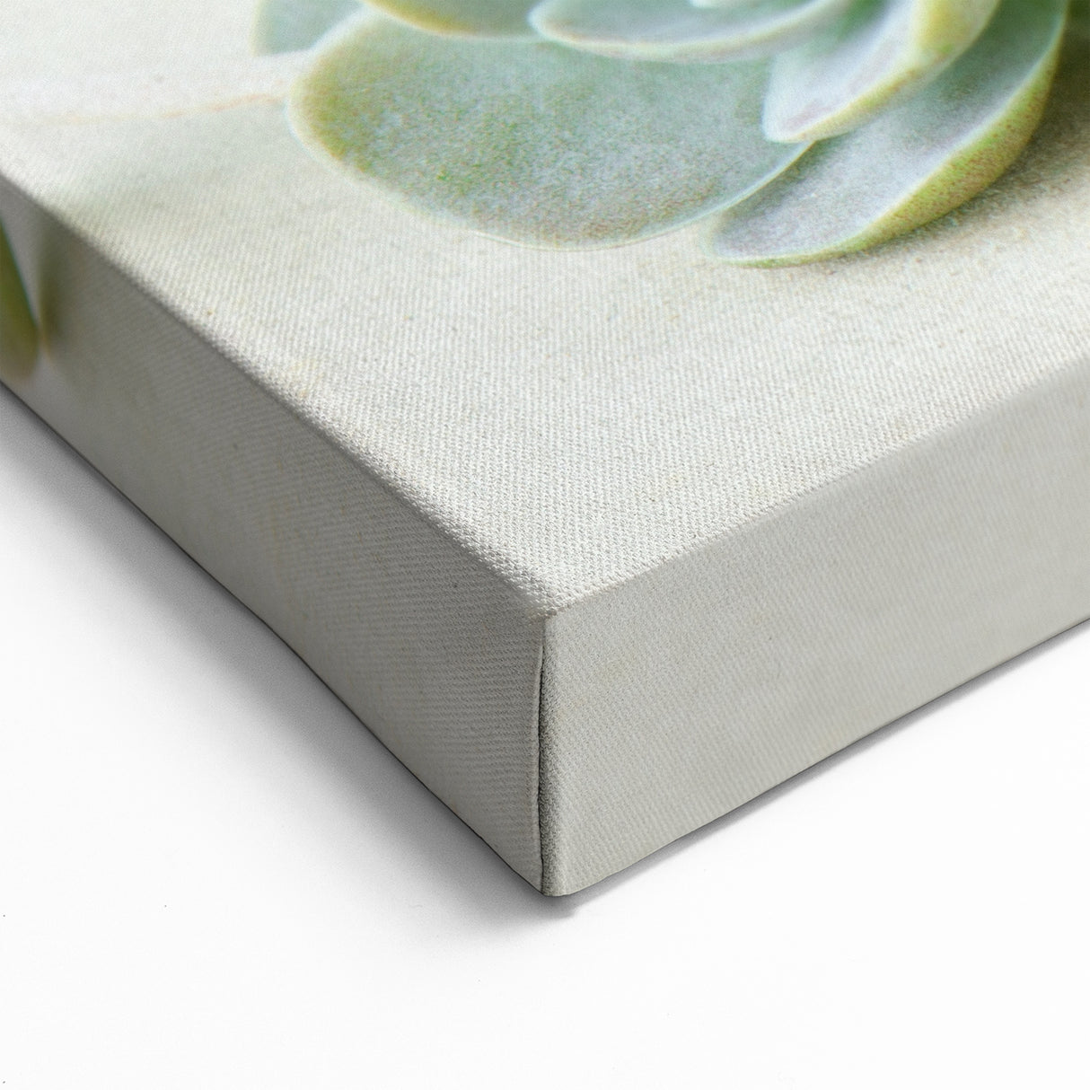 Elegant Succulent Wall Art - Botanical Greenery Canvas Print Decor