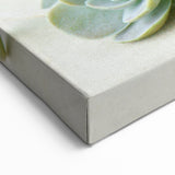 Elegant Succulent Wall Art - Botanical Greenery Canvas Print Decor