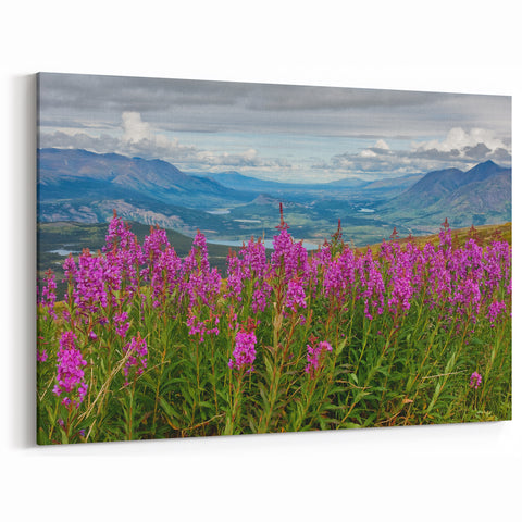 Fireweed Field Art - Scenic Mountain Valley Fireweed Landscape Canvas Print
