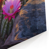 Sunset Cactus Flower Art - Vibrant Desert Bloom Wall Decor