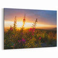Fireweed Sunset Art - Fireweed Flower Field with Glowing Sunset Canvas