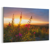 Fireweed Sunset Art - Fireweed Flower Field with Glowing Sunset Canvas