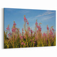 Fireweed Flower Art - Vibrant Fireweed Field Under Blue Sky Canvas Print