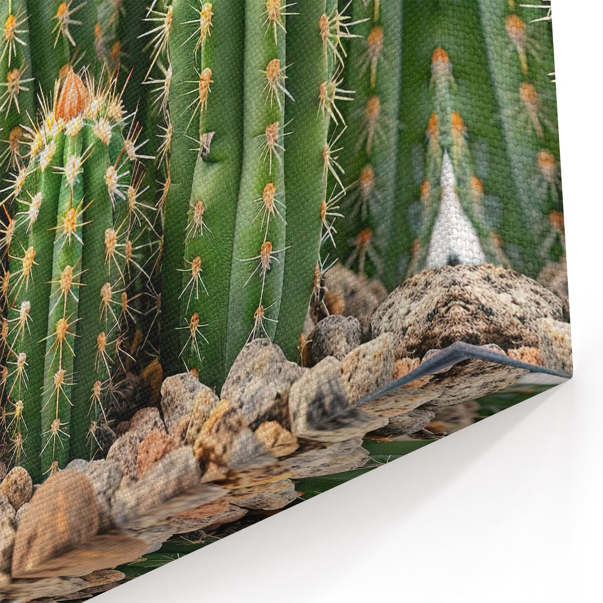 Golden Blooming Cactus Art - Vibrant Southwestern Succulent Wall Decor
