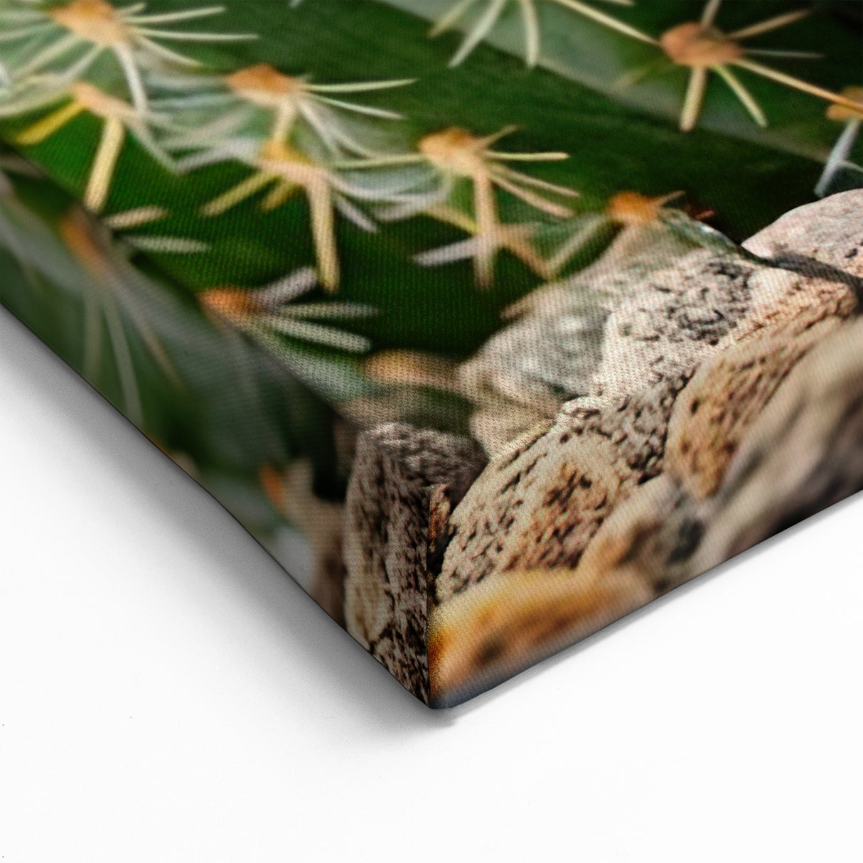 Golden Blooming Cactus Art - Vibrant Southwestern Succulent Wall Decor