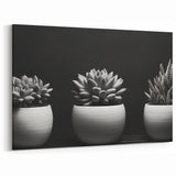 Modern Black & White Succulent Art - Botanical Monochrome Wall Decor