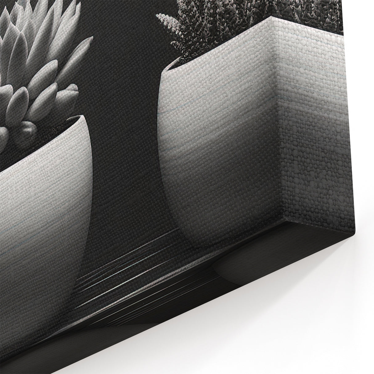 Modern Black & White Succulent Art - Botanical Monochrome Wall Decor