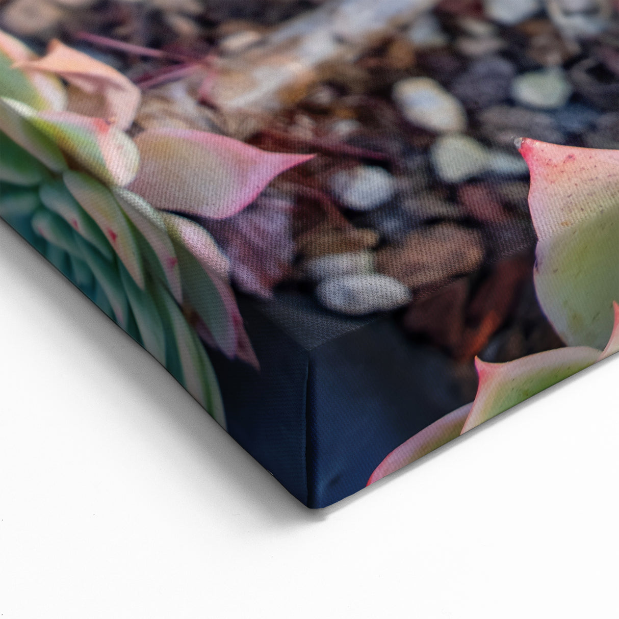 Vibrant Succulent Wall Art - Botanical Greenery Print for Modern Homes