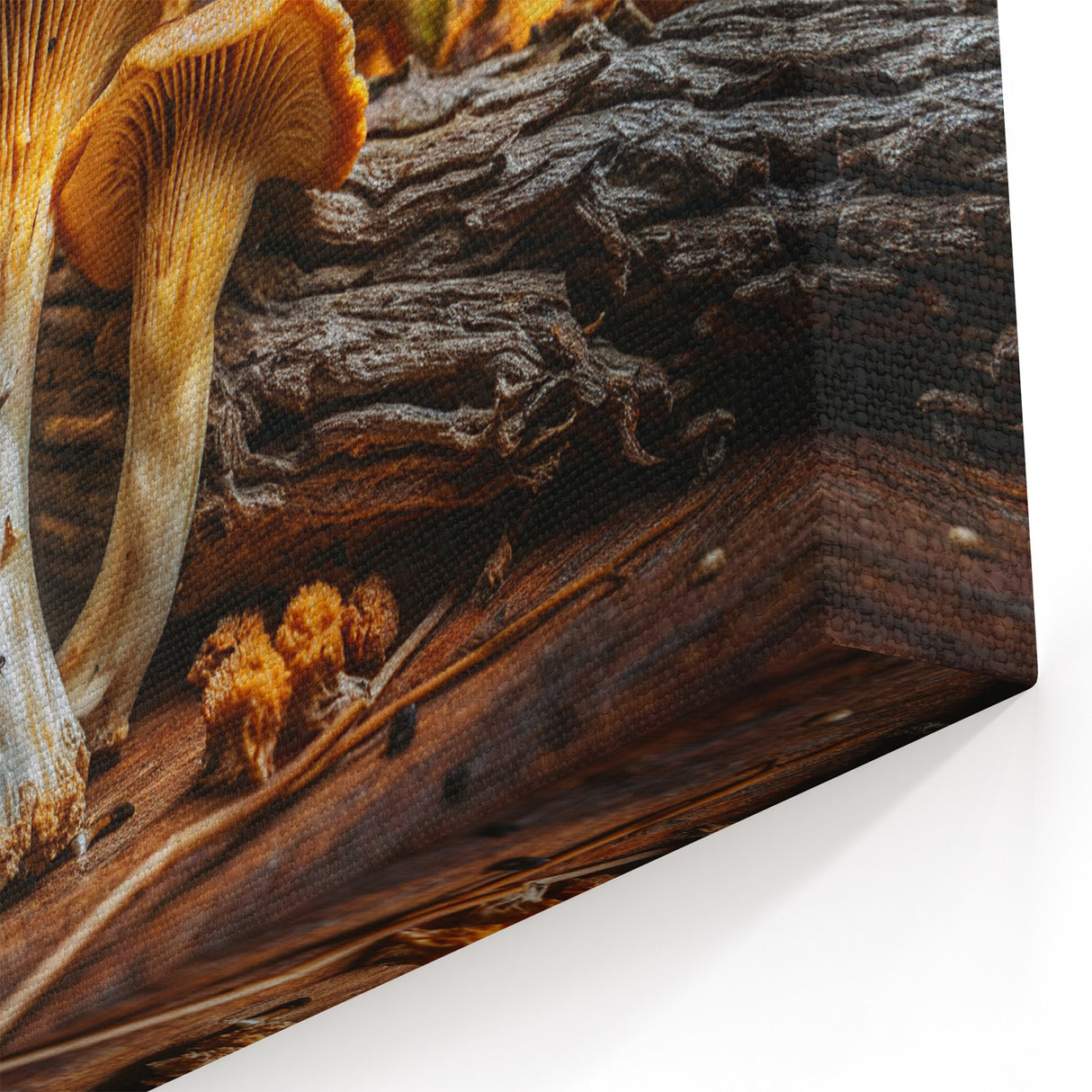 Mushroom Wall Art | Botanical Fungi Prints | Woodland Mushroom Canvas