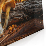 Mushroom Wall Art | Botanical Fungi Prints | Woodland Mushroom Canvas