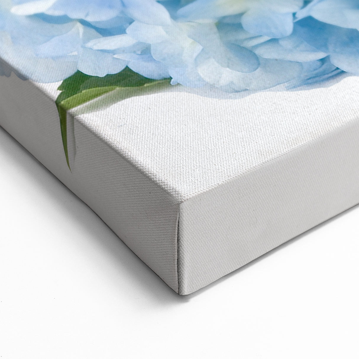 Botanical Hydrangea Wall Art - Hydrangea Canvas Print - Floral Decor