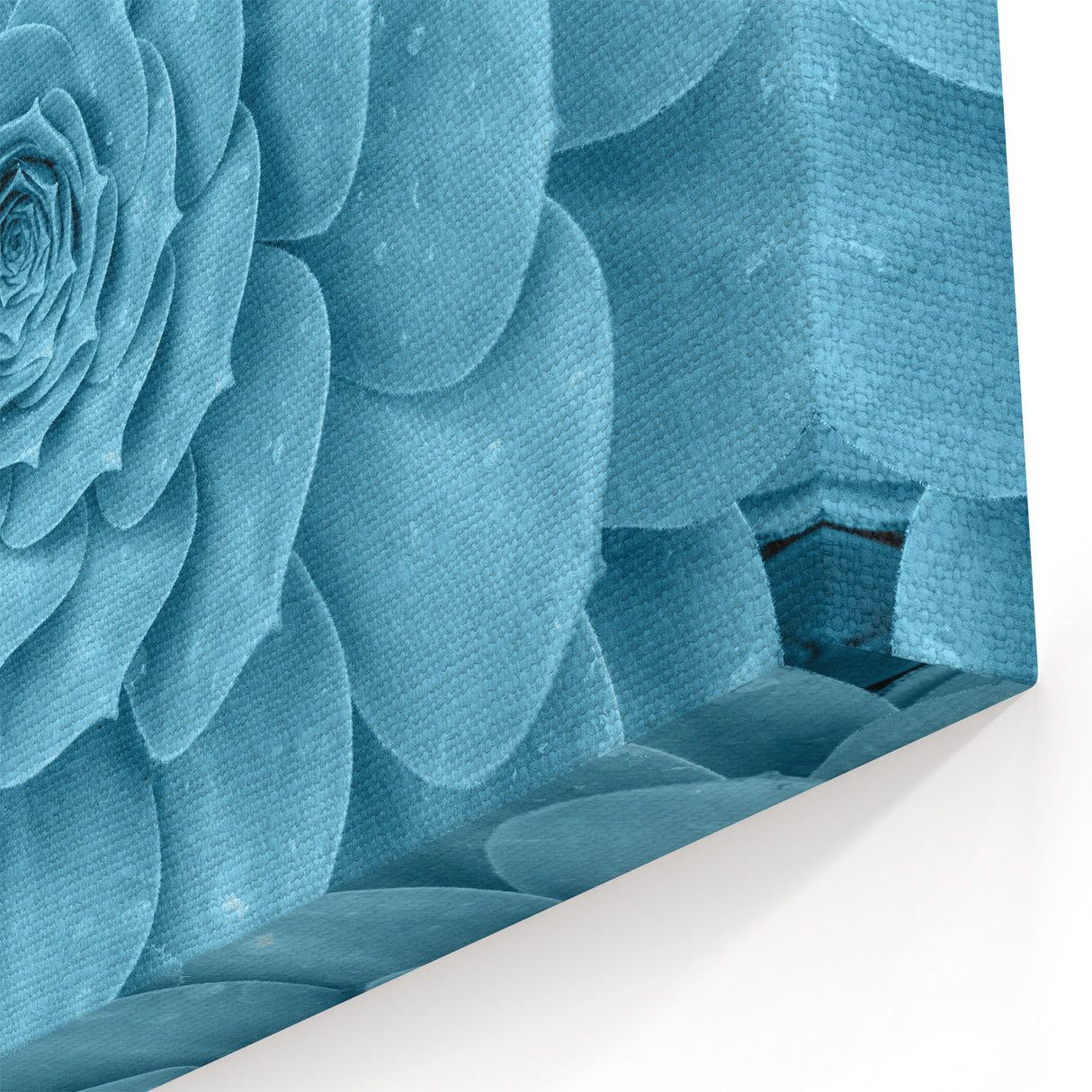 Modern Blue Succulent Art - Vibrant Botanical Wall Decor for Home