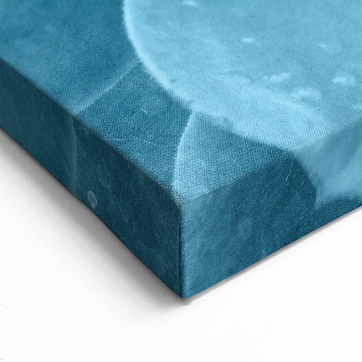 Modern Blue Succulent Art - Vibrant Botanical Wall Decor for Home