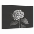 Black and White Botanical Hydrangea Art - Floral Hydrangea Wall Decor
