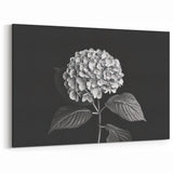 Black and White Botanical Hydrangea Art - Floral Hydrangea Wall Decor