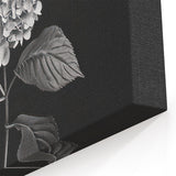 Black and White Botanical Hydrangea Art - Floral Hydrangea Wall Decor