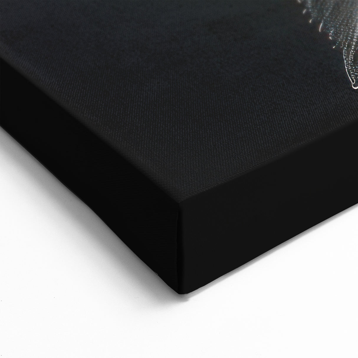 Black and White Botanical Hydrangea Art - Floral Hydrangea Wall Decor